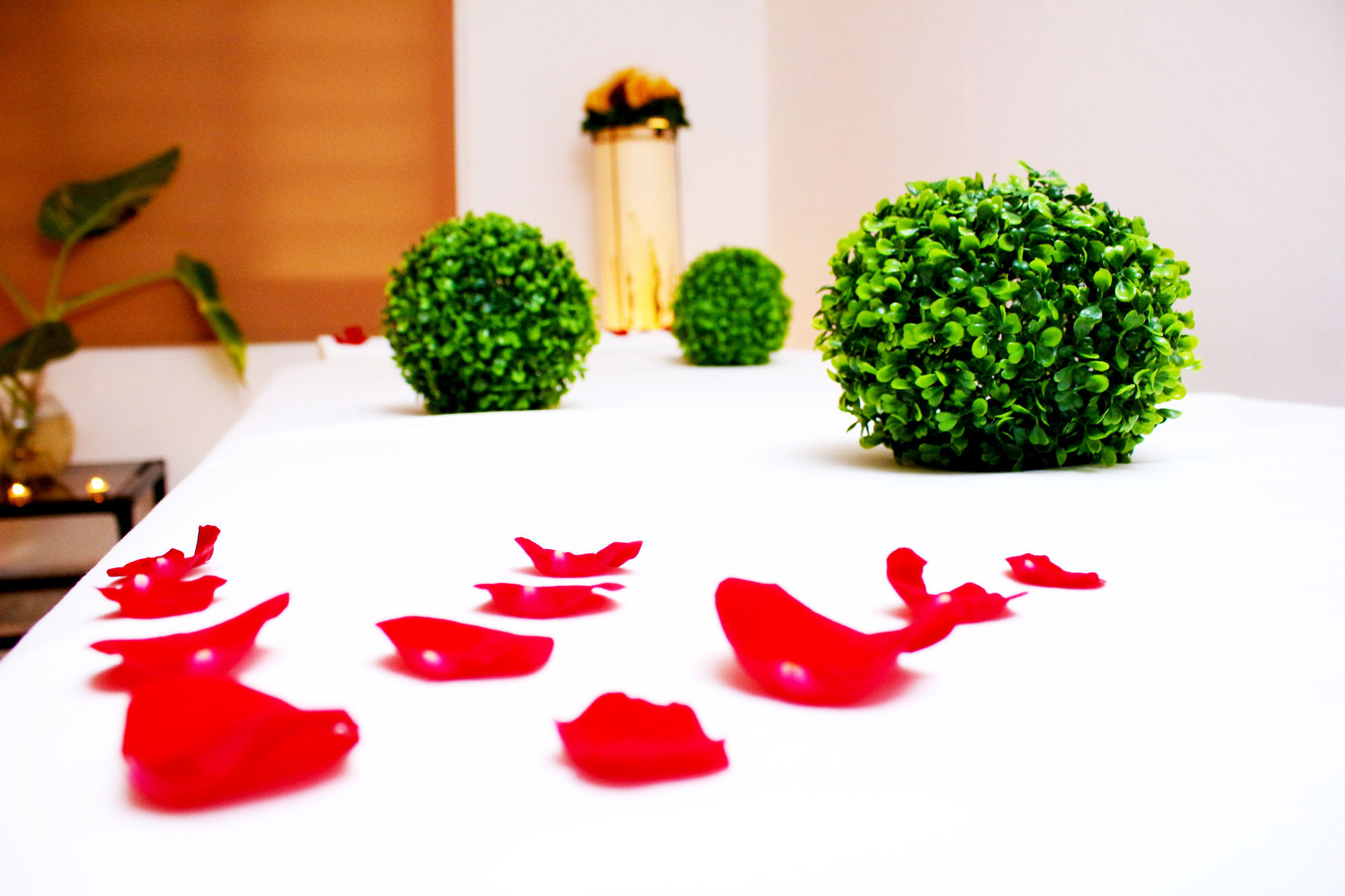 Hotel Spa Taninul 로스푸엔테스 외부 사진